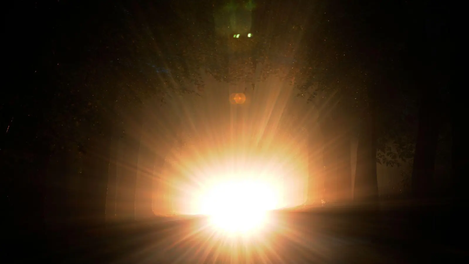 Plötzliche Blendung, etwa durch Fernlicht, überfordert die Anpassungsfähigkeit der Augen und schränkt das Sehen vorübergehend stark ein (Foto: Ingo Wagner/dpa/dpa-tmn)