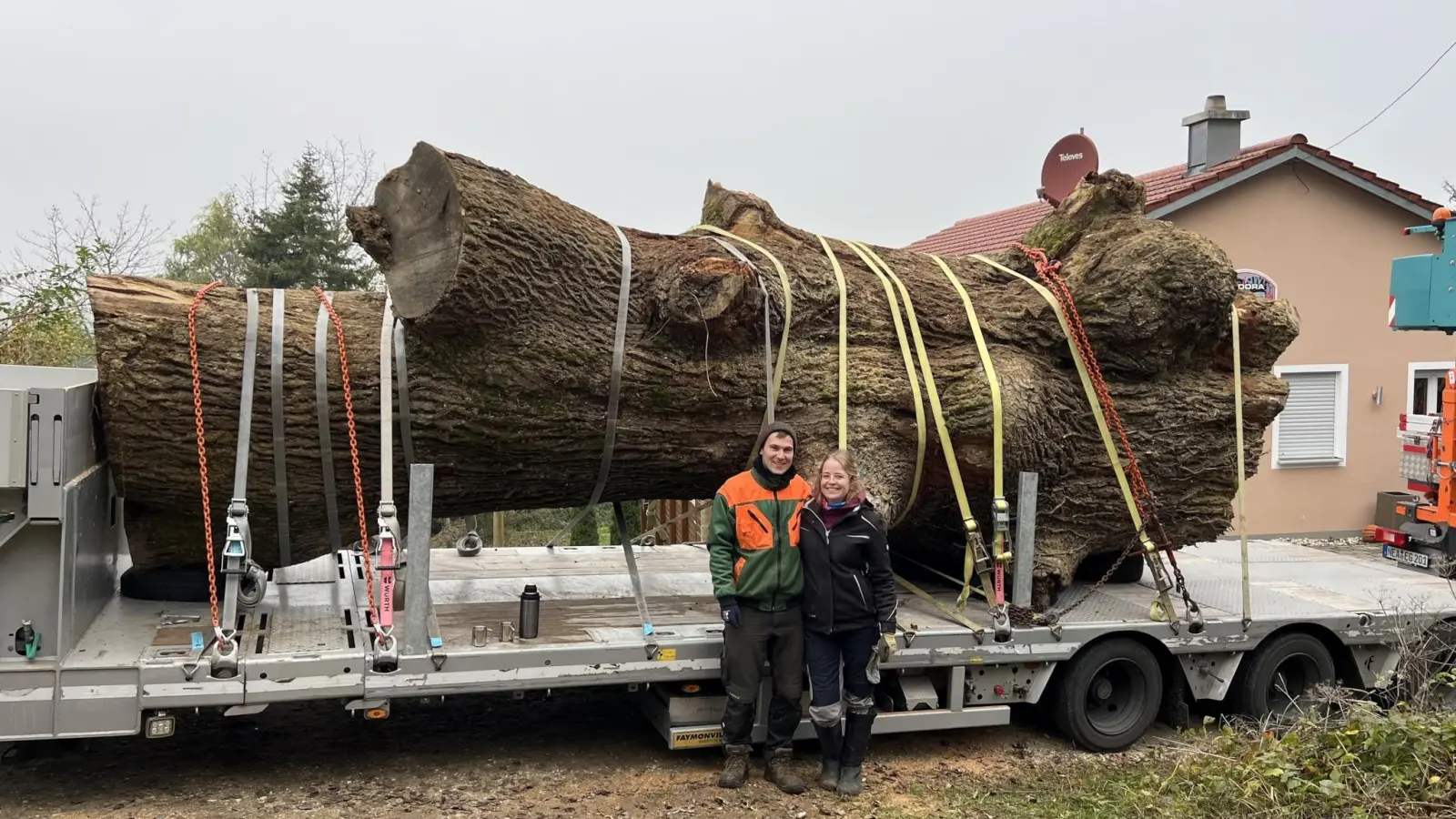 Der Schwertransport vor dem Start: Etliche Spanngurte hielten den über sechs Meter langen und teils 2,50 Meter breiten Eichenstamm auf der Ladefläche des Tiefladers. Jonas Nähr und seine Freundin Verena Hofmann posierten seinerzeit vor dem Koloss. (Foto: Matthias Müller)