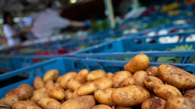 Ob Gemüse, Eier oder Fleisch: Produkte direkt vom Bauern sind auch im Landkreis Neustadt/Aisch-Bad Windsheim gefragt. (Symbolbild: Sven Hoppe/dpa)