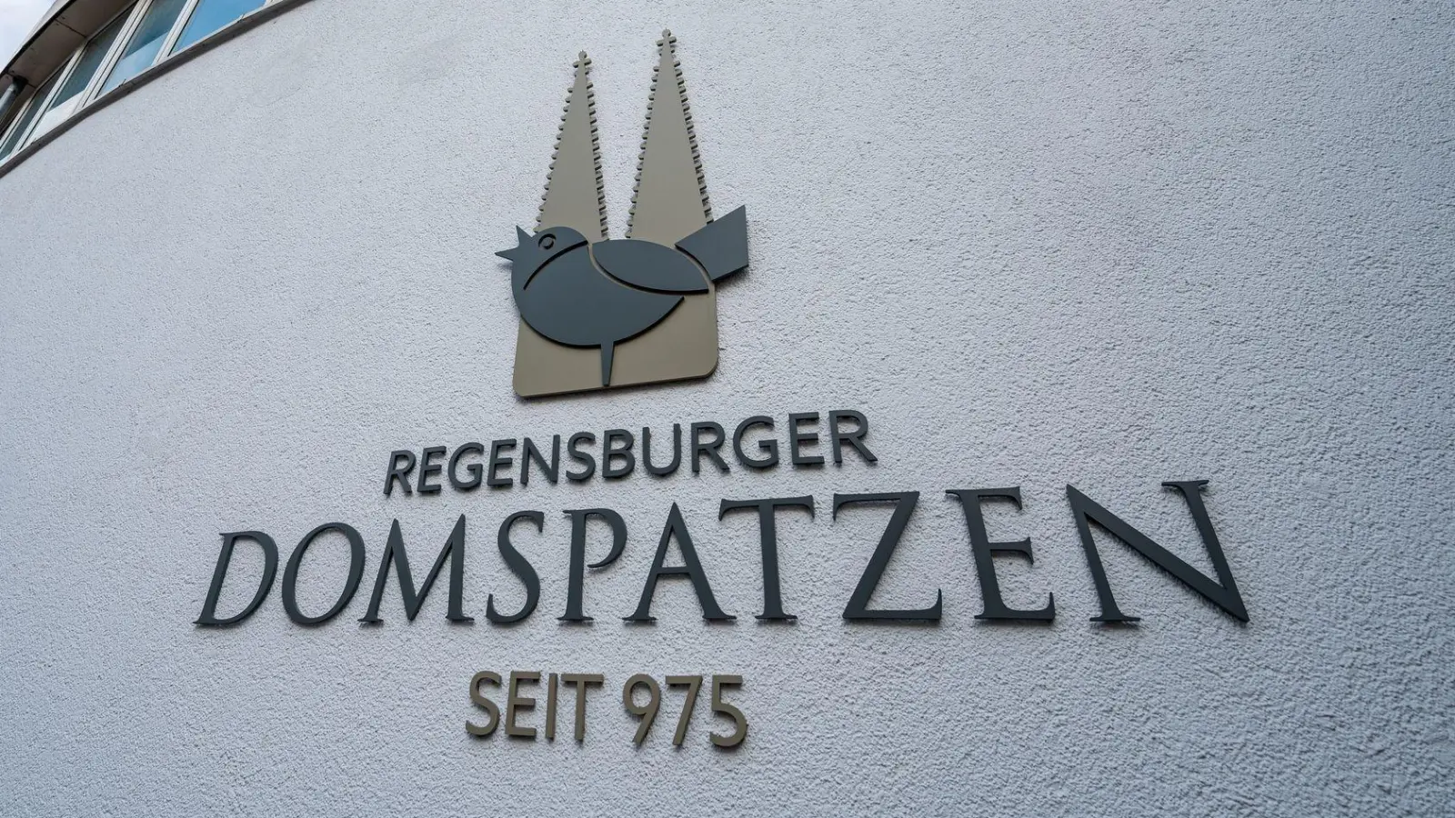 Der Kläger war früher bei den Domspatzen. (Archivbild) (Foto: Armin Weigel/dpa)