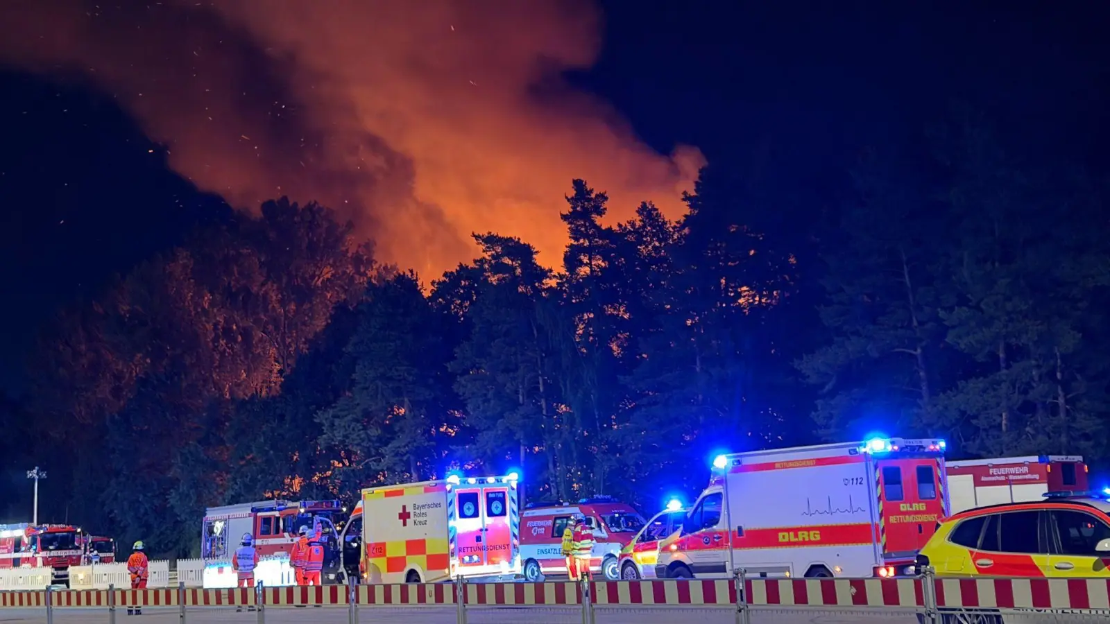 In Nürnberg brannte ein Waldstück.  (Foto: Sven Grundmann/NEWS5/dpa)