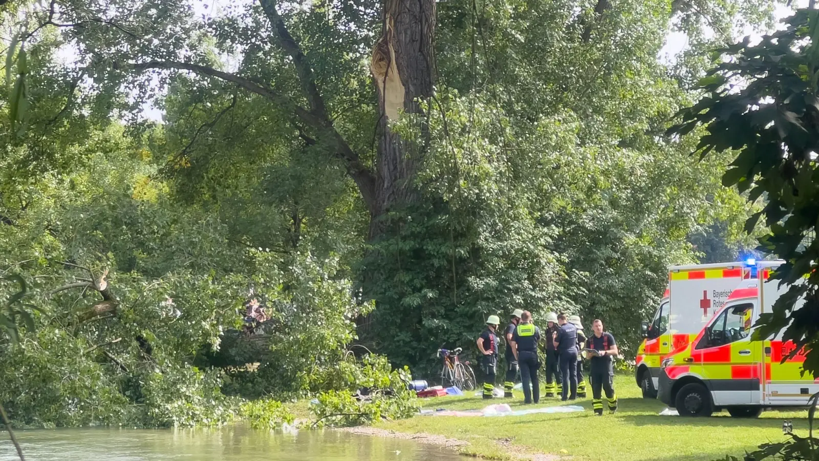 Ein Ast stürzt im Englischen Garten unerwartet herab (Foto: Katrin Requadt/dpa)