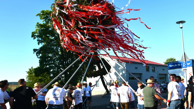 Mit vereinten Kräften wird der Baum am Samstag aufgestellt. (Foto: Gudrun Schwarz-Köhler)