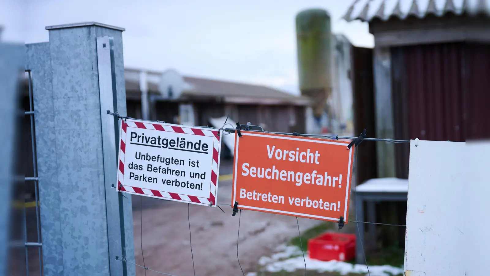 Schutzmaßnahmen sind angelaufen nach dem Ausbruch der Maul- und Klauenseuche. (Foto: Annette Riedl/dpa)