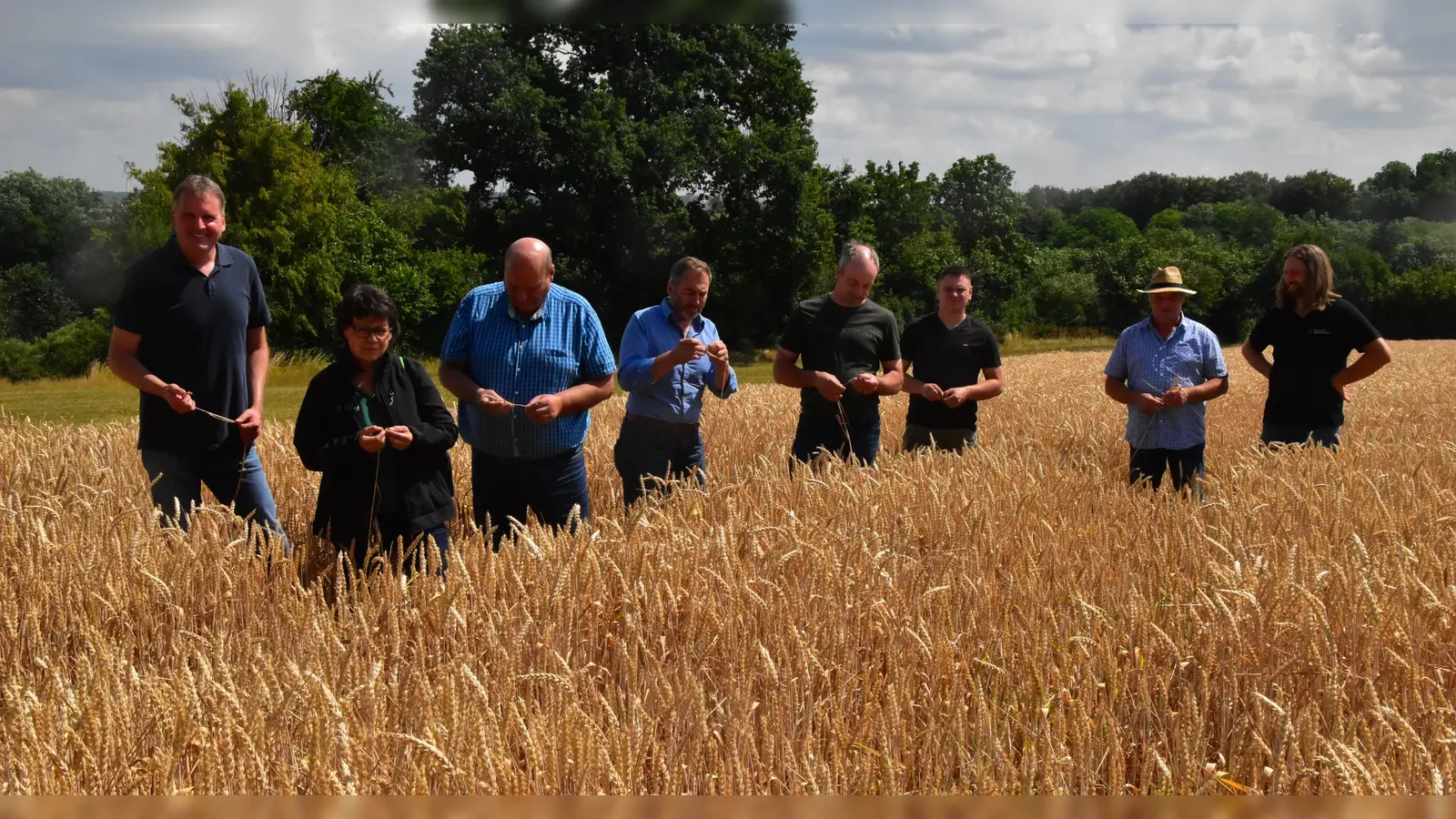 Früher als sonst steht nun auch bei Winterweizen der Mähdrusch an. Dabei wird deutlich, dass schlechte Böden überproportionale Ernteeinbußen durch die Trockenheit haben, stellten die Teilnehmer des Erntepressegesprächs fest. (Foto: Fritz Arnold)