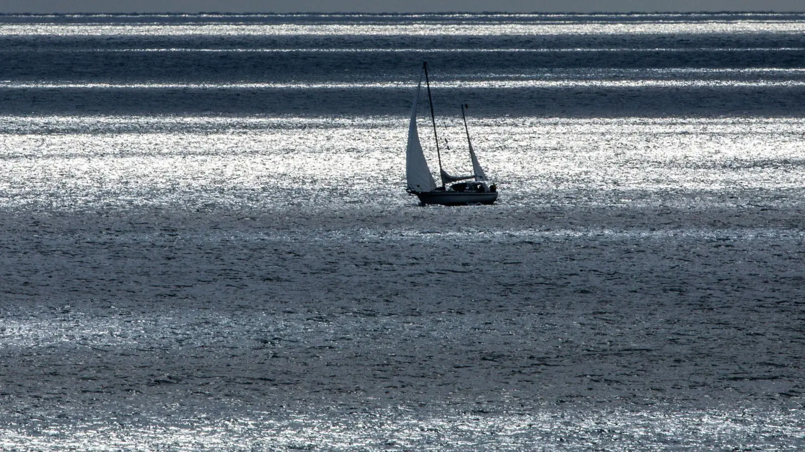 Die Ostsee erhitzt sich fast dreimal so schnell im Vergleich zum globalen Durchschnitt. (Symbolbild) (Foto: Jens Büttner/dpa)