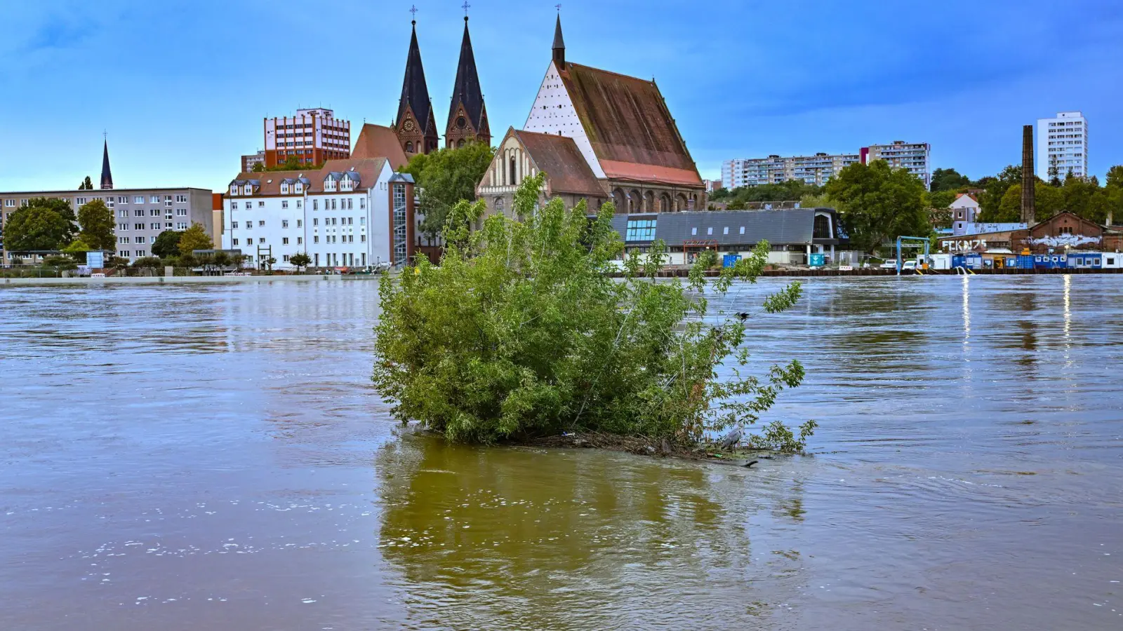 Das Wasser der Oder steht noch sehr hoch in Frankfurt. (Foto: Patrick Pleul/dpa)