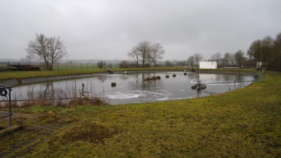 Auf dem Gelände des bestehenden Colmberger Klärteichs soll die neue Anlage entstehen. Das Abwasser von Geslau und Windelsbach soll dann dorthin gepumpt werden. (Foto: Theo Clausen)