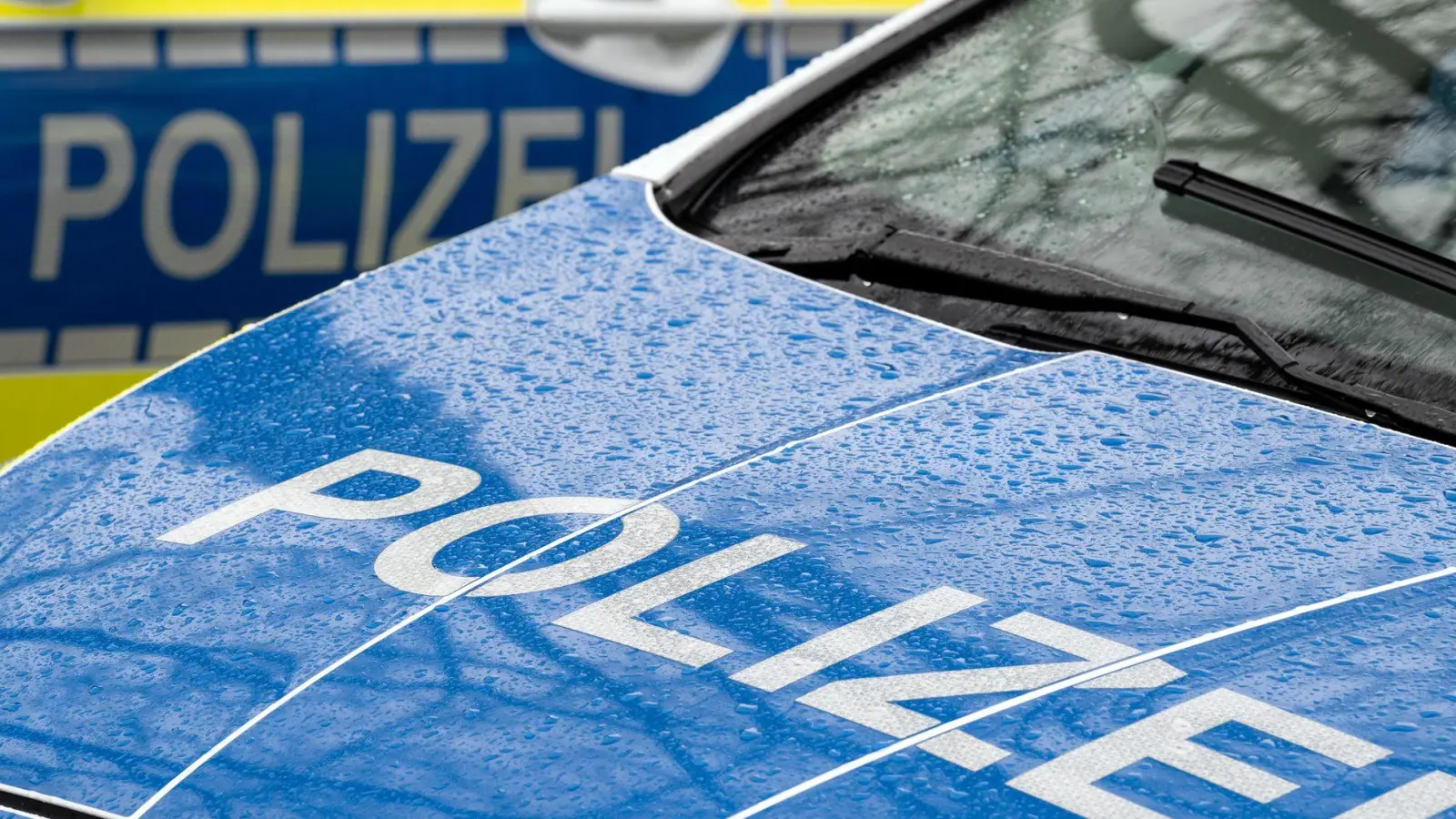 Nach einer Gewalttat in einer Schule in Brandenburg gibt es zwei Todesopfer. (Symbolbild) (Foto: Soeren Stache/dpa)
