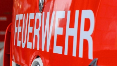 Die Feuerwehr löscht den Waldbrand. (Symbolbild) (Foto: Klaus-Dietmar Gabbert/dpa)