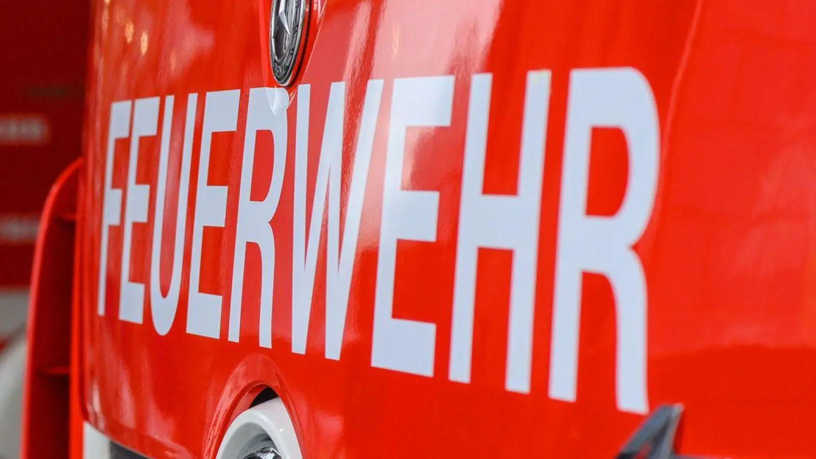 Die Feuerwehr löscht den Waldbrand. (Symbolbild) (Foto: Klaus-Dietmar Gabbert/dpa)