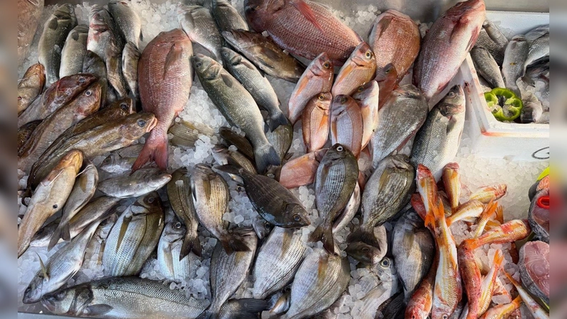 Frischen Fisch erkennt man unter anderen an den klaren, glänzenden Augen.  (Foto: Alexia Angelopoulou/dpa)