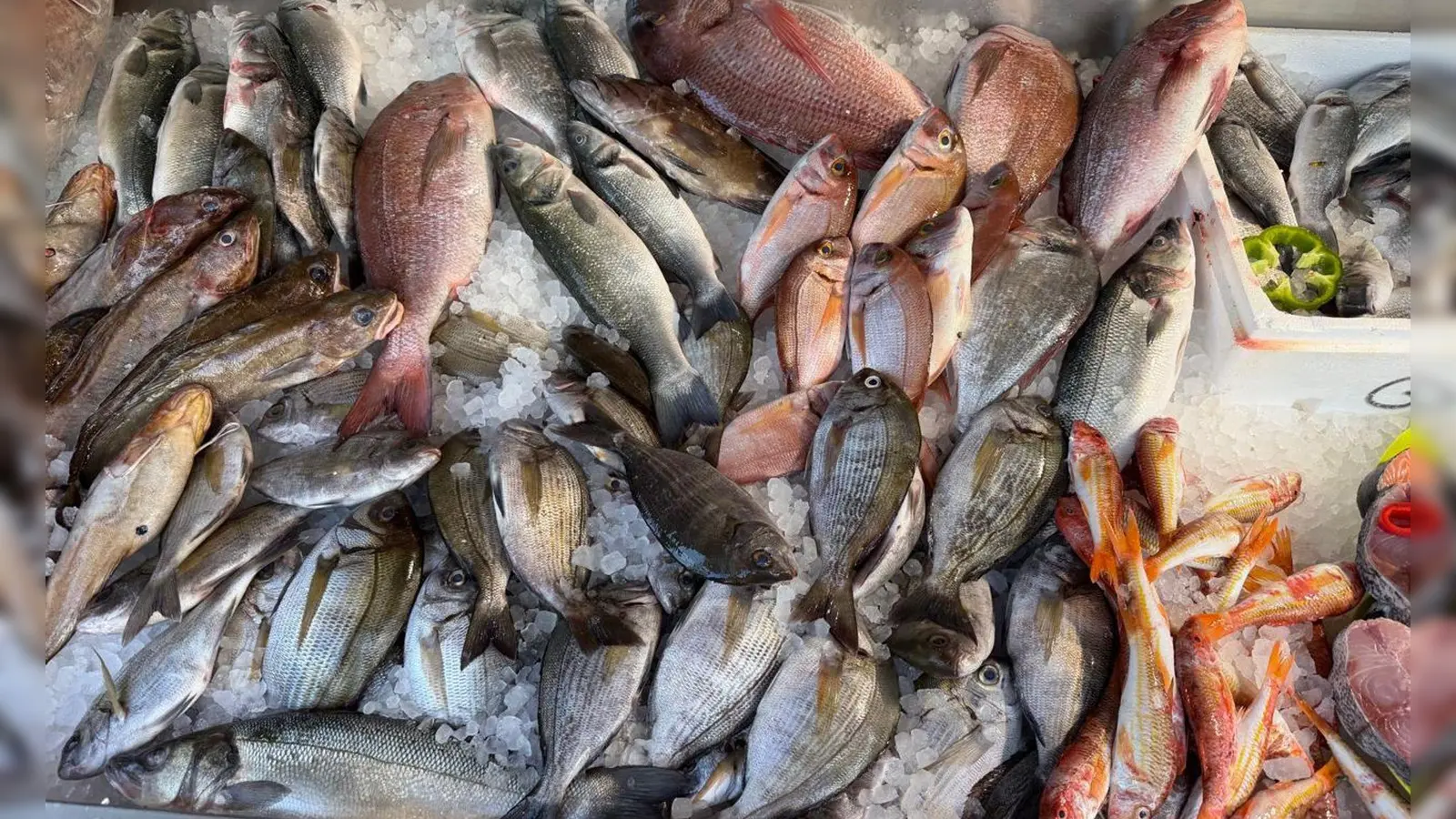 Frischen Fisch erkennt man unter anderen an den klaren, glänzenden Augen.  (Foto: Alexia Angelopoulou/dpa)