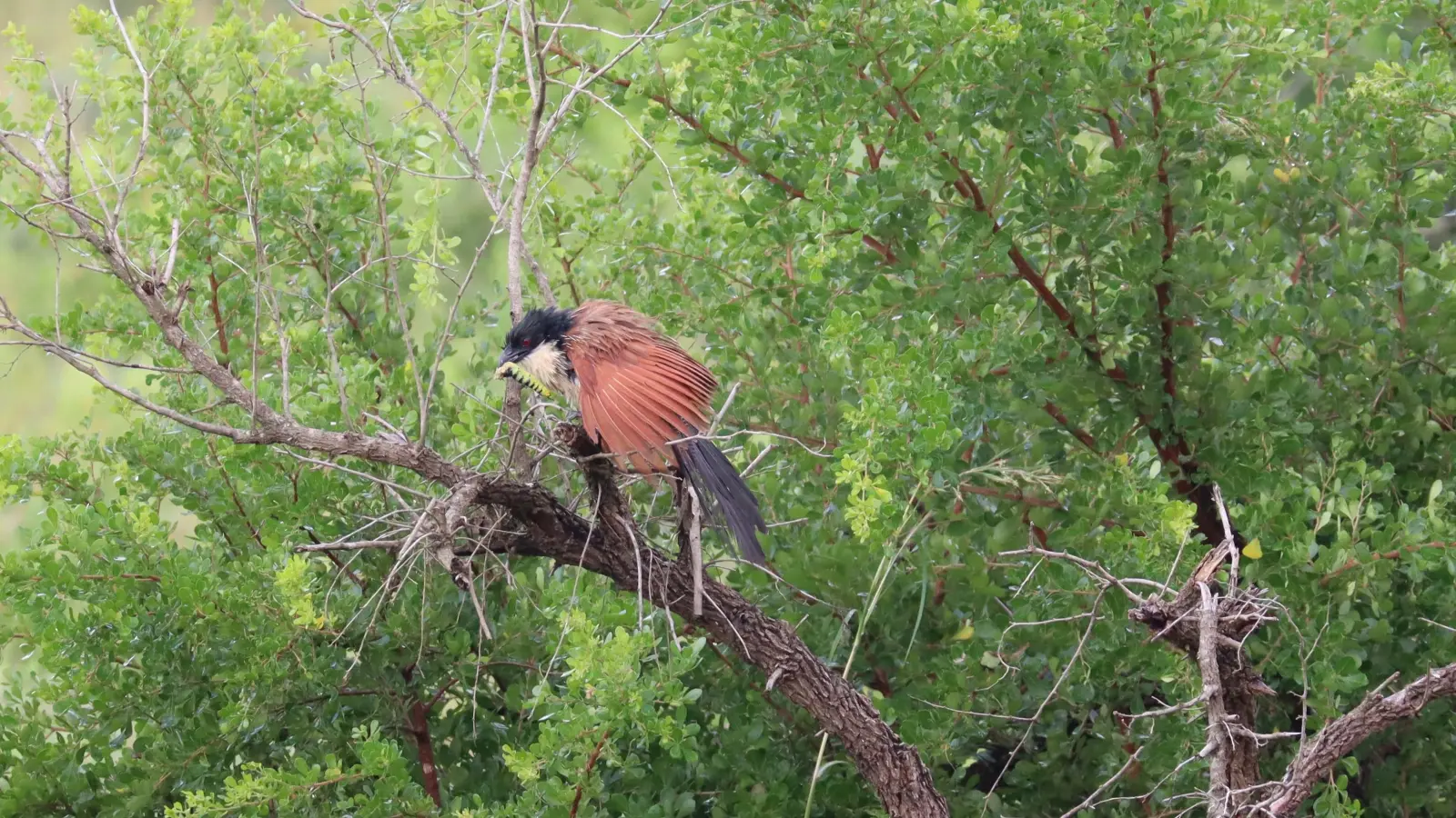... lohnt sich immer. (Foto: Gudrun Bayer)