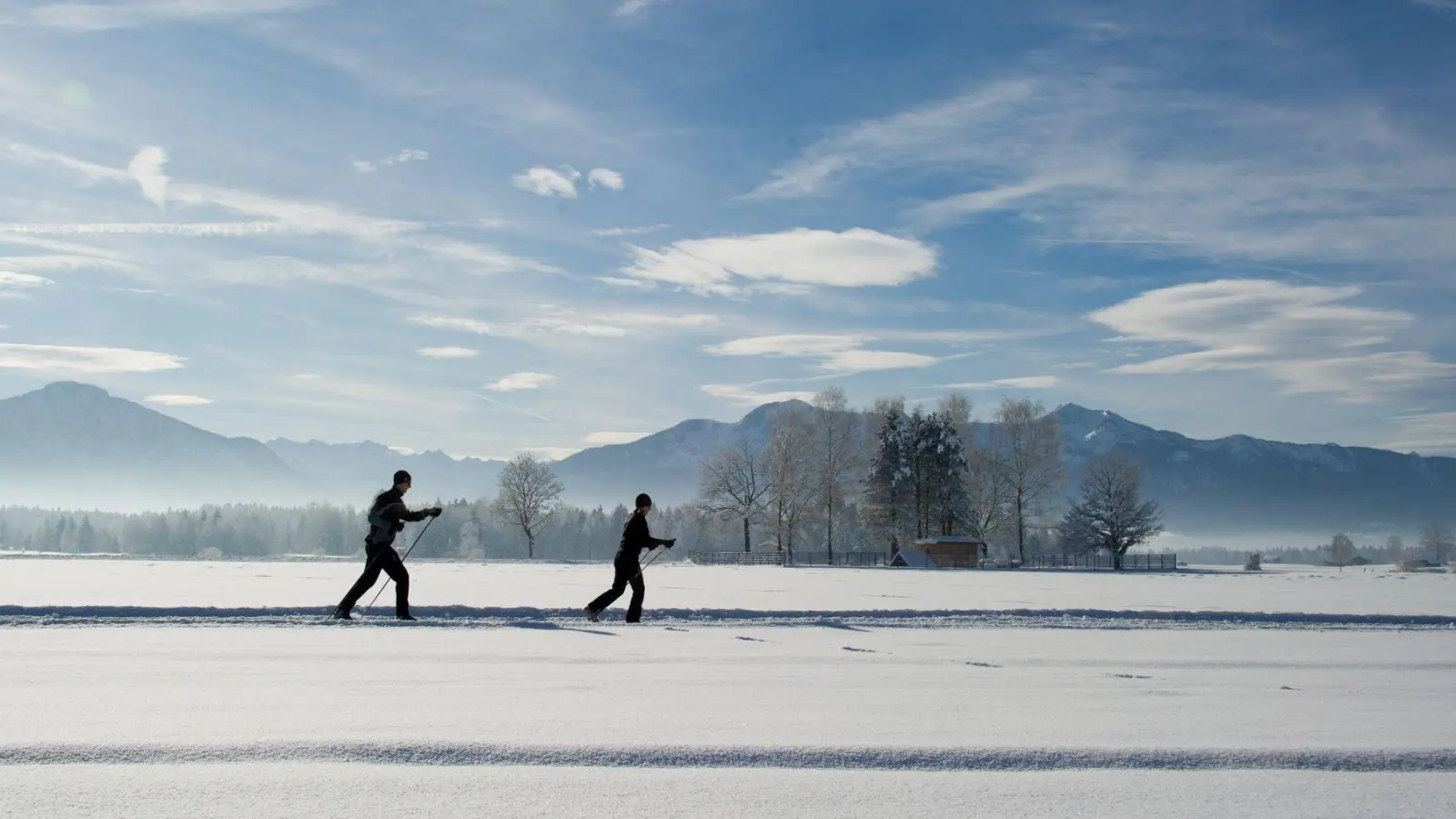 Bei der Klassik-Variante des Skilanglaufs gleitet man auf langen Skiern in zwei parallelen Spuren im Schnee. (Foto: Tobias Hase/dpa-tmn)