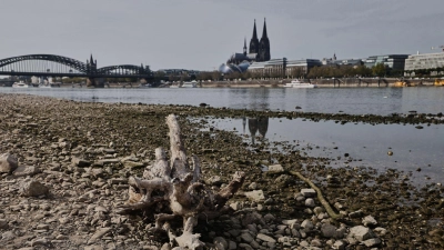 Die Wasserstände der Flüsse waren nach einer Auswertung des Science Media Center dieses Jahr extrem niedrig (Archivbild).  (Foto: Oliver Berg/dpa)