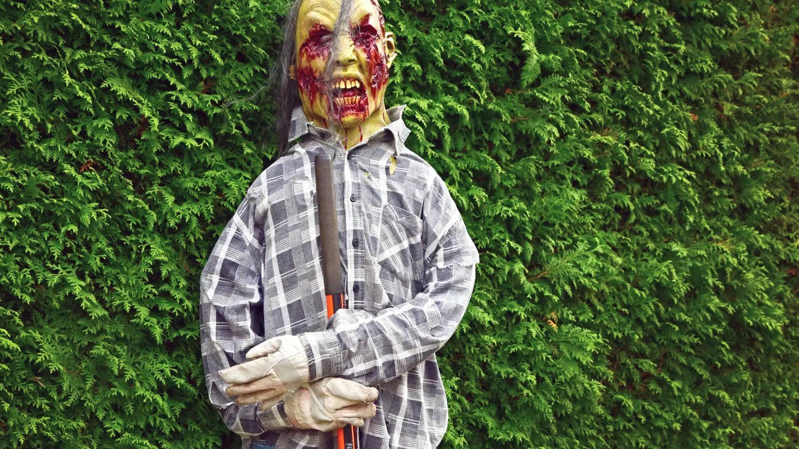 Kleine Details und große Aufreger gibt es im Garten und an der Fassade von Christa und Steve Miller in Höfstetten bei Ansbach zu sehen. Halloween-Grusel vom Feinsten. (Foto: Irmeli Pohl)