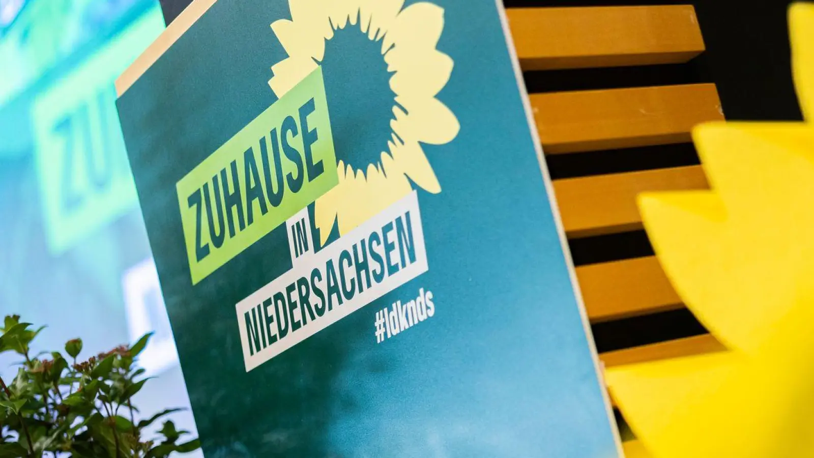 Die Grünen im niedersächsischen Landkreis Vechta ziehen ihre aktive Unterstützung für den Kandidaten zurück. (Symbolbild) (Foto: Michael Matthey/dpa)