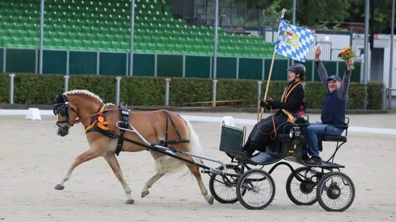 Stolzes Pony: „Wembley&#39;s Match B” von Steffi und Frank Bleicher holte sich beim Moritzburger Bundes-Championat den Sieg in seiner Klasse.  (Foto: Florian Pöhlmann)