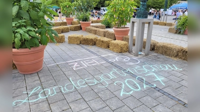 Ende Oktober sollen die ersten Bagger rollen und die ersten Maßnahmen für die Landesgartenschau umsetzen. (Archivbild: Nina Daebel)