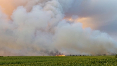 Das Feuer in der Gohrischheide ist weiter nicht unter Kontrolle. Aktuell breitet sich der Brand nach Norden aus, teilte das Landratsamt Meißen am Donnerstagmorgen mit. (Foto: Daniel Wagner/dpa)
