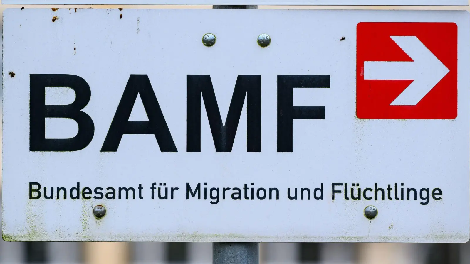 Die Zahl der Asylerstanträge war im ersten Halbjahr dieses Jahres deutlich niedriger als im Vorjahreszeitraum. (Symbolbild) (Foto: Patrick Pleul/dpa)