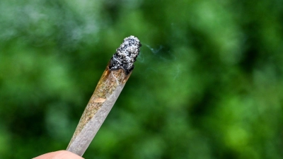 Seit rund zwei Jahren ist Cannabis in Deutschland teilweise legal.  (Foto: Jens Kalaene/dpa)