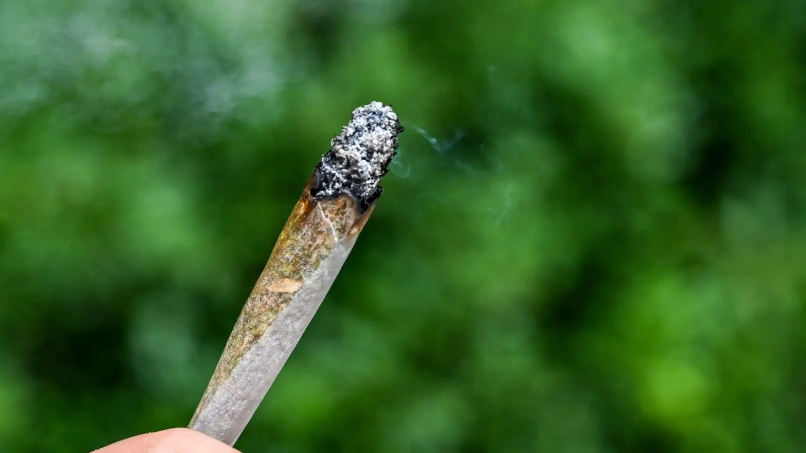 Seit rund zwei Jahren ist Cannabis in Deutschland teilweise legal.  (Foto: Jens Kalaene/dpa)