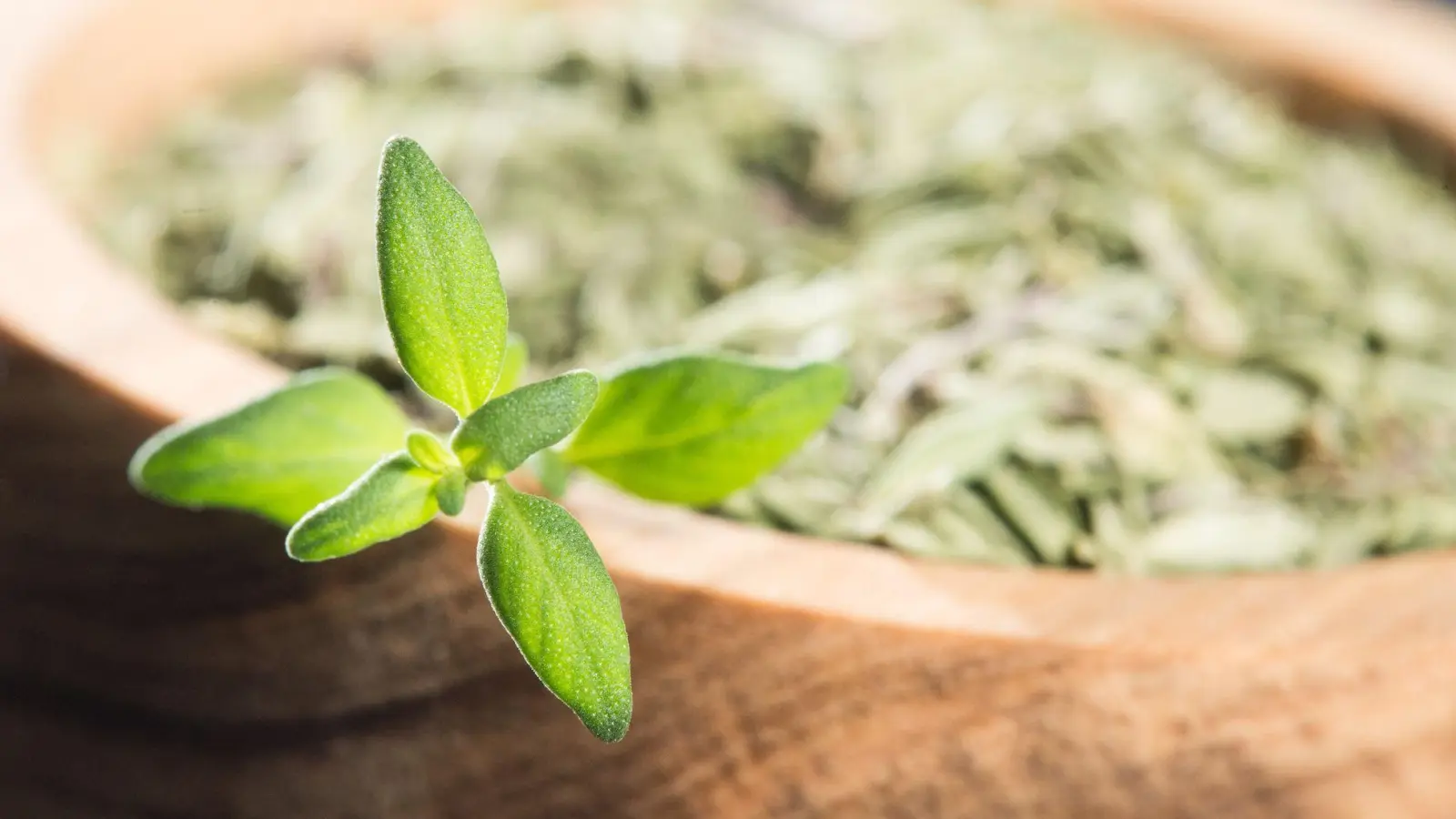 Für Küche und Gesundheit: Mit ätherischen Ölen wie Thymol fördert Thymian die Verdauung und wird traditionell als Heilpflanze gegen Husten und Erkältung eingesetzt. (Foto: Franziska Gabbert/dpa-tmn)