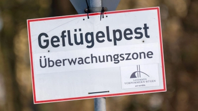 In Baden-Württemberg sind erste Fälle der Vogelgrippe nachgewiesen worden. (Symbolbild) (Foto: Stefan Sauer/dpa)