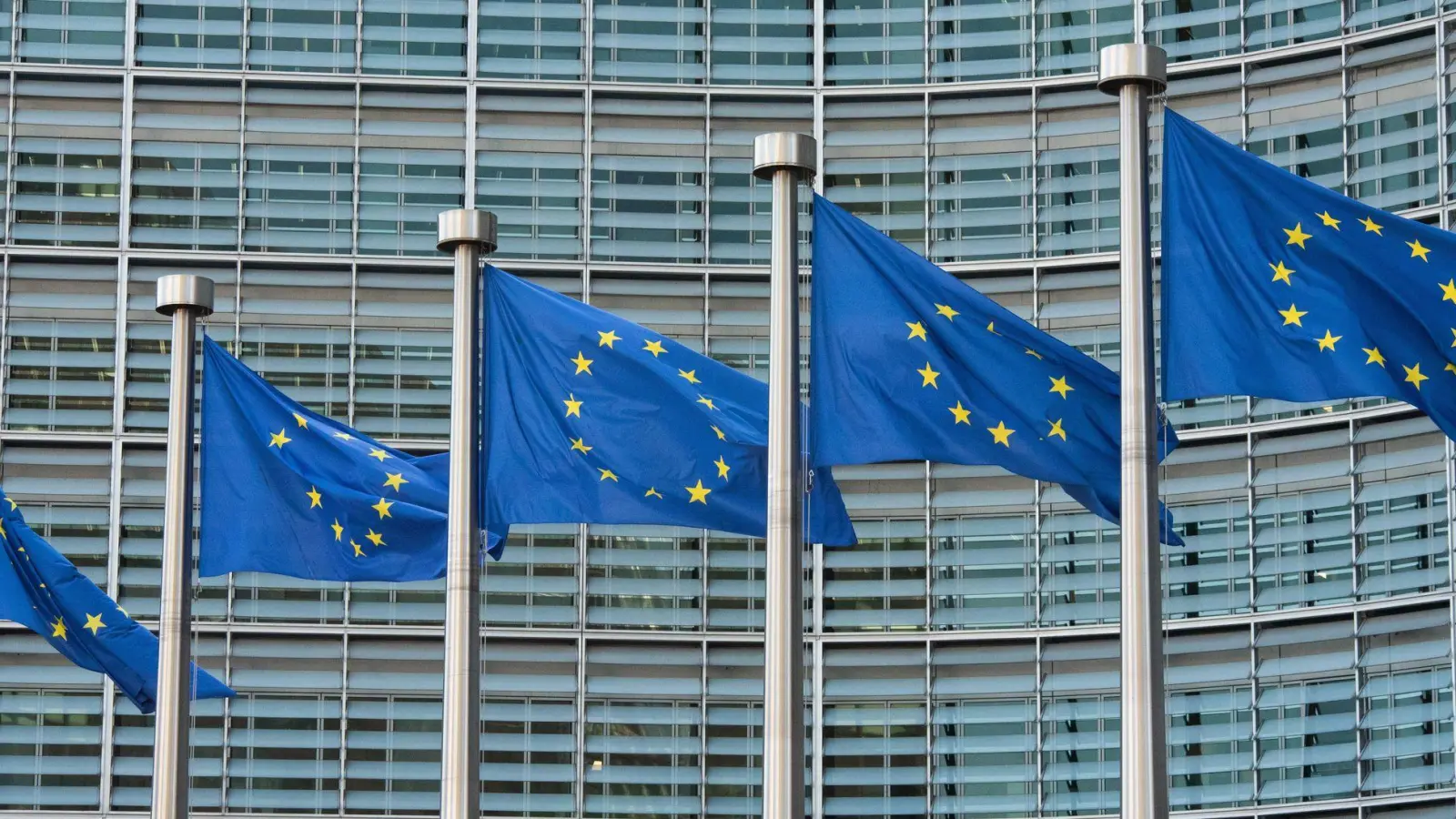 Die EU-Kommission hat im vergangenen Jahr einen deutlichen Anstieg an Warnmeldungen für Verbraucherprodukte registriert. (Symbolbild) (Foto: Helena Dolderer/dpa)