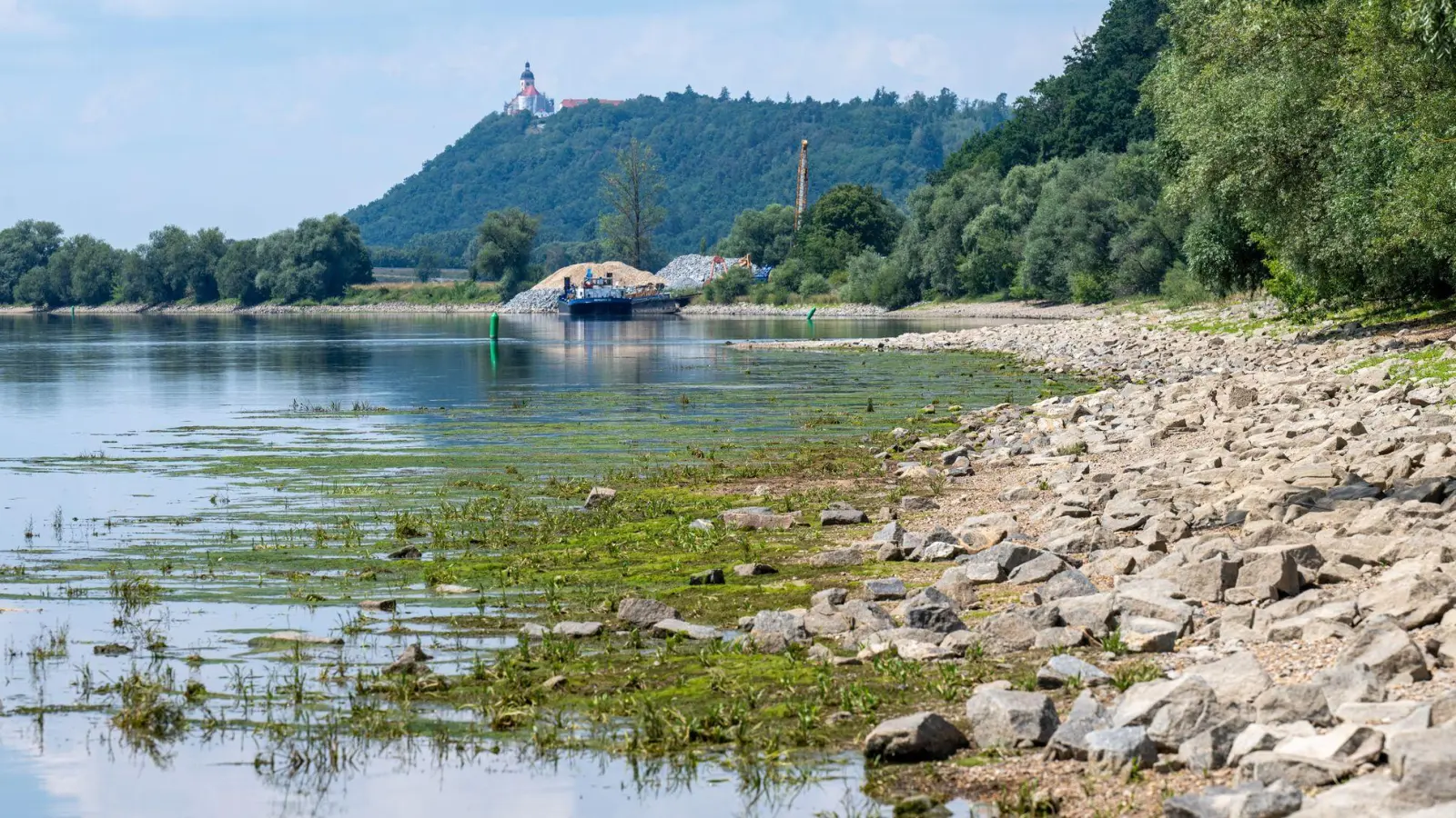Nicht nur an der Donau sind die Wasserstände derzeit ungewöhnlich niedrig. (Archivbild) (Foto: Armin Weigel/dpa)