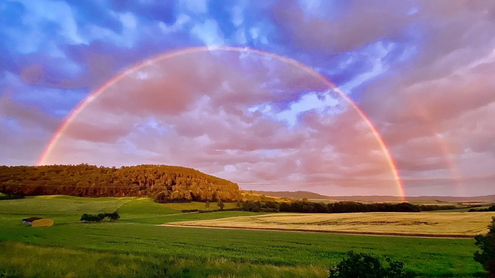 Platz 1: Regenbogen bei Neusitz. (147 Votes) (Foto: Norbert Roth)