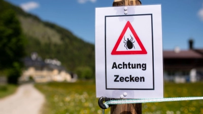 Zecken übertragen Krankheiten. (Archivbild) (Foto: Sven Hoppe/dpa)
