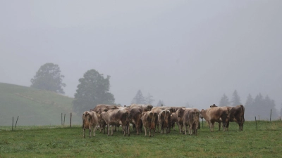 Das Wetter zeigt sich herbstlich dunkel. (Foto: Karl-Josef Hildenbrand/dpa)