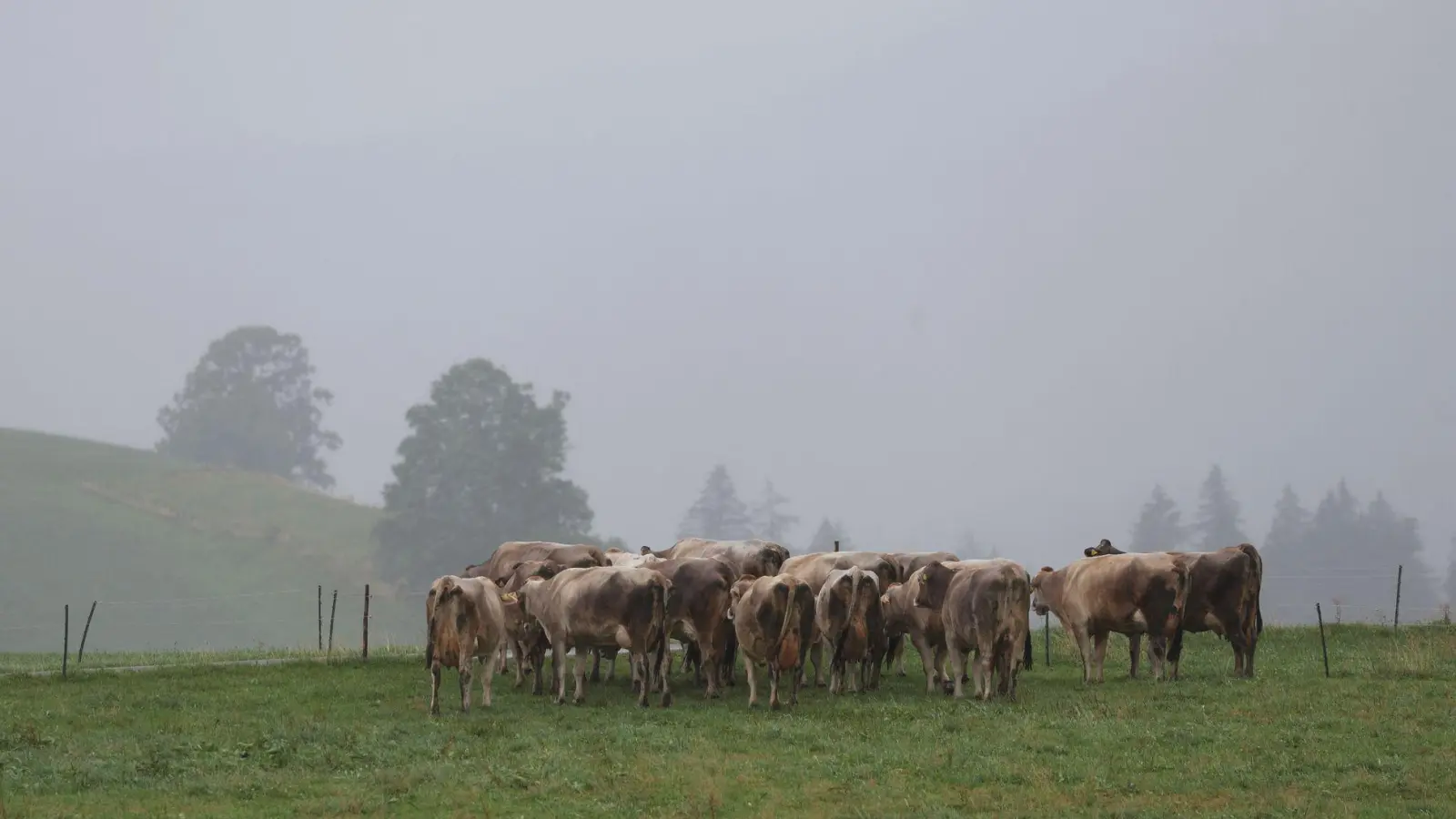 Das Wetter zeigt sich herbstlich dunkel. (Foto: Karl-Josef Hildenbrand/dpa)