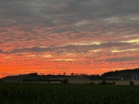 Kapellberg in Rot - gesehen von Ulsenheim aus (Foto: Heinrich Gärtner)