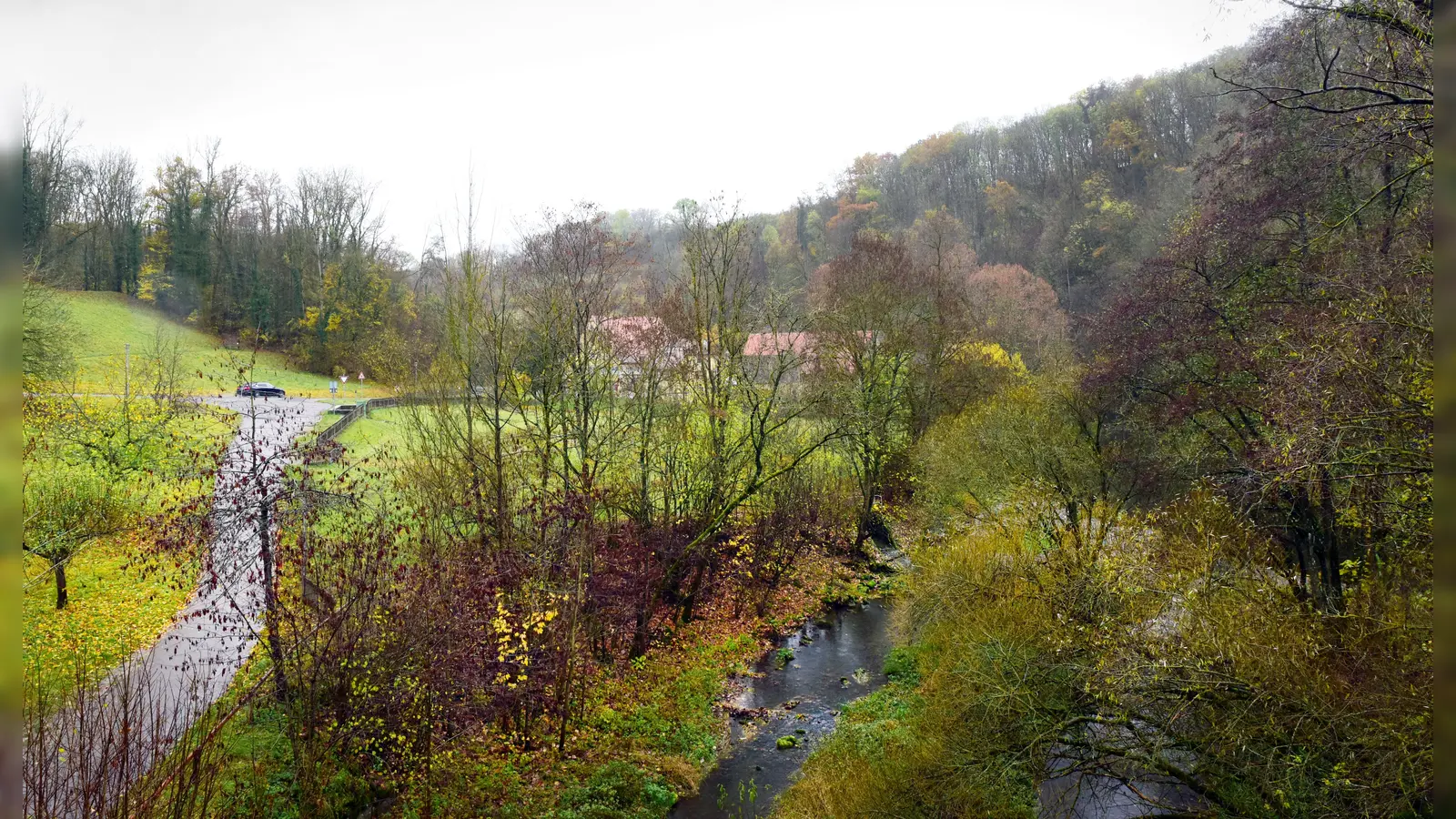 Die Natur im Taubertal begeistert viele Gäste. (Foto: Irmeli Pohl)