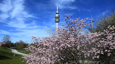 Am Mittwoch bleibt es sonnig. (Archivbild) (Foto: Felix Hörhager/dpa)