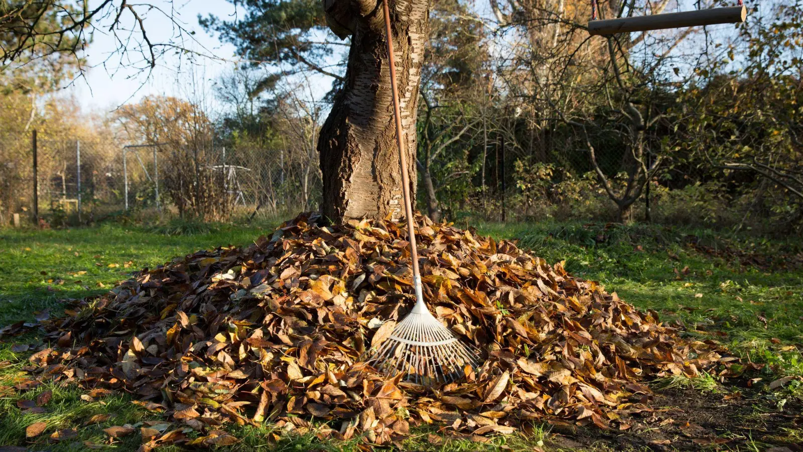 Laubhaufen im Garten? Statt das Herbstlaub zu entsorgen, kann es als Unterschlupf für Igel und Insekten dienen. (Foto: Florian Schuh/dpa-tmn)