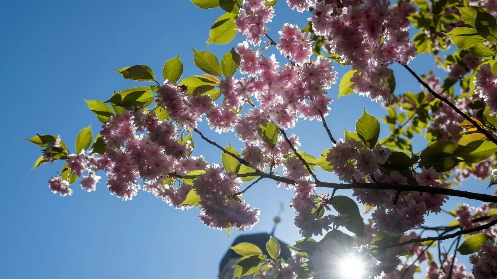 Die Sonne scheint fast überall den ganzen Tag. (Archivbild) (Foto: Stefan Puchner/dpa)