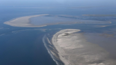 Die Klimaerwärmung verändert den Lebensraum am Wattenmeer. (Archivbild) (Foto: Carsten Rehder/dpa)