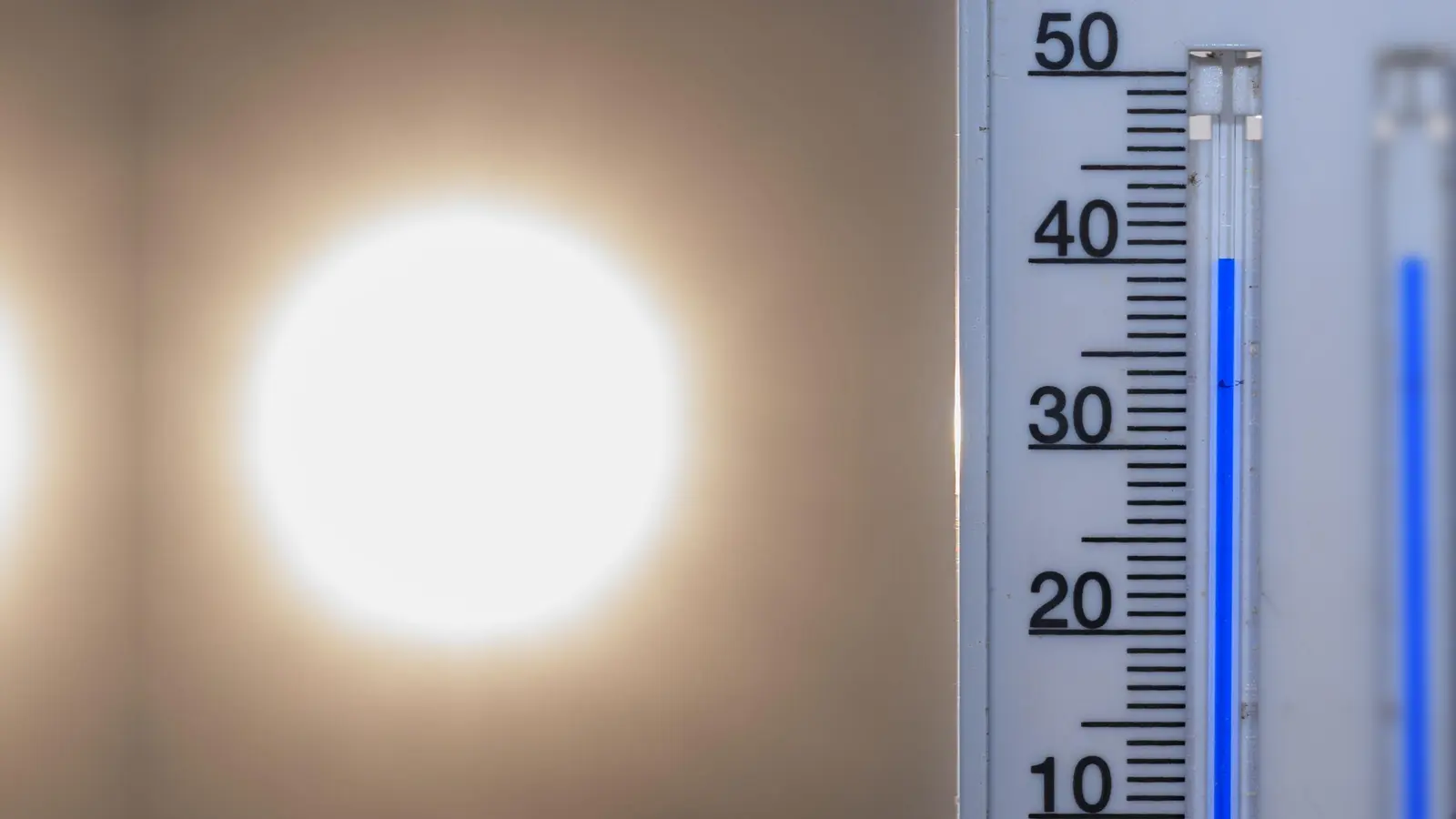 Zwei von drei Deutschen machen sich Sorgen, dass der Klimawandel unsere Lebensgrundlagen zerstört. (Symbolbild) (Foto: Patrick Pleul/dpa)