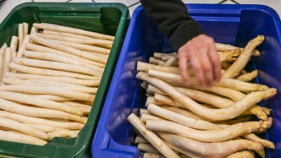 Derzeit bekommen Verbraucher Spargel so günstig wie sonst nicht in der Saison. (Archivbild) (Foto: Jens Kalaene/dpa)