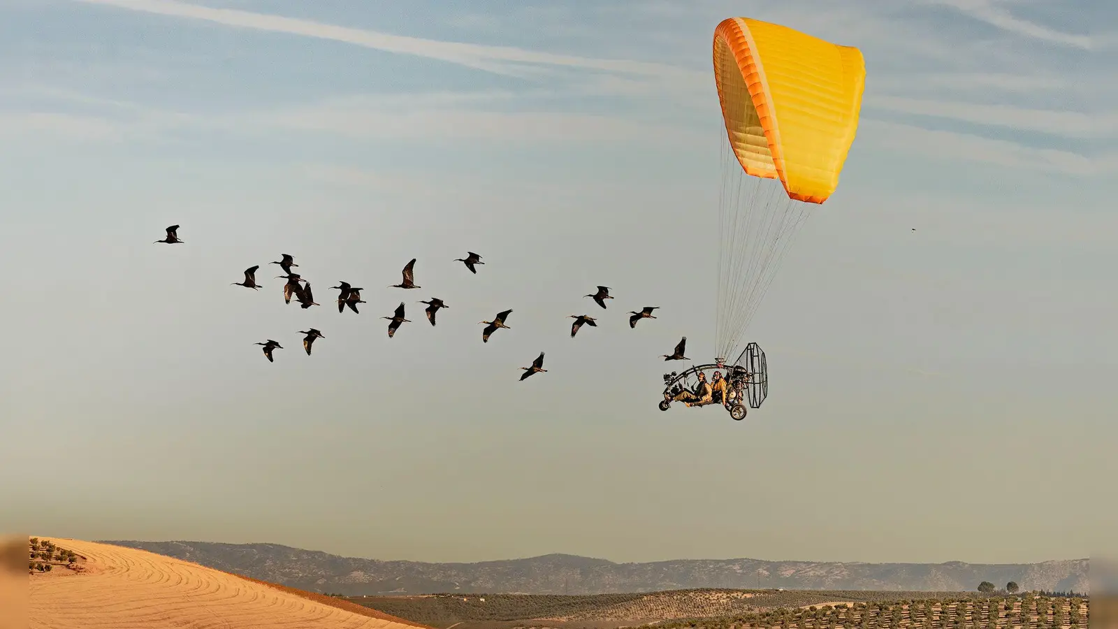 Wissenschaftler begleiten Waldrappen bei ihrem Zug nach Spanien. (Foto: Gunnar Hartmann/Nature/dpa)