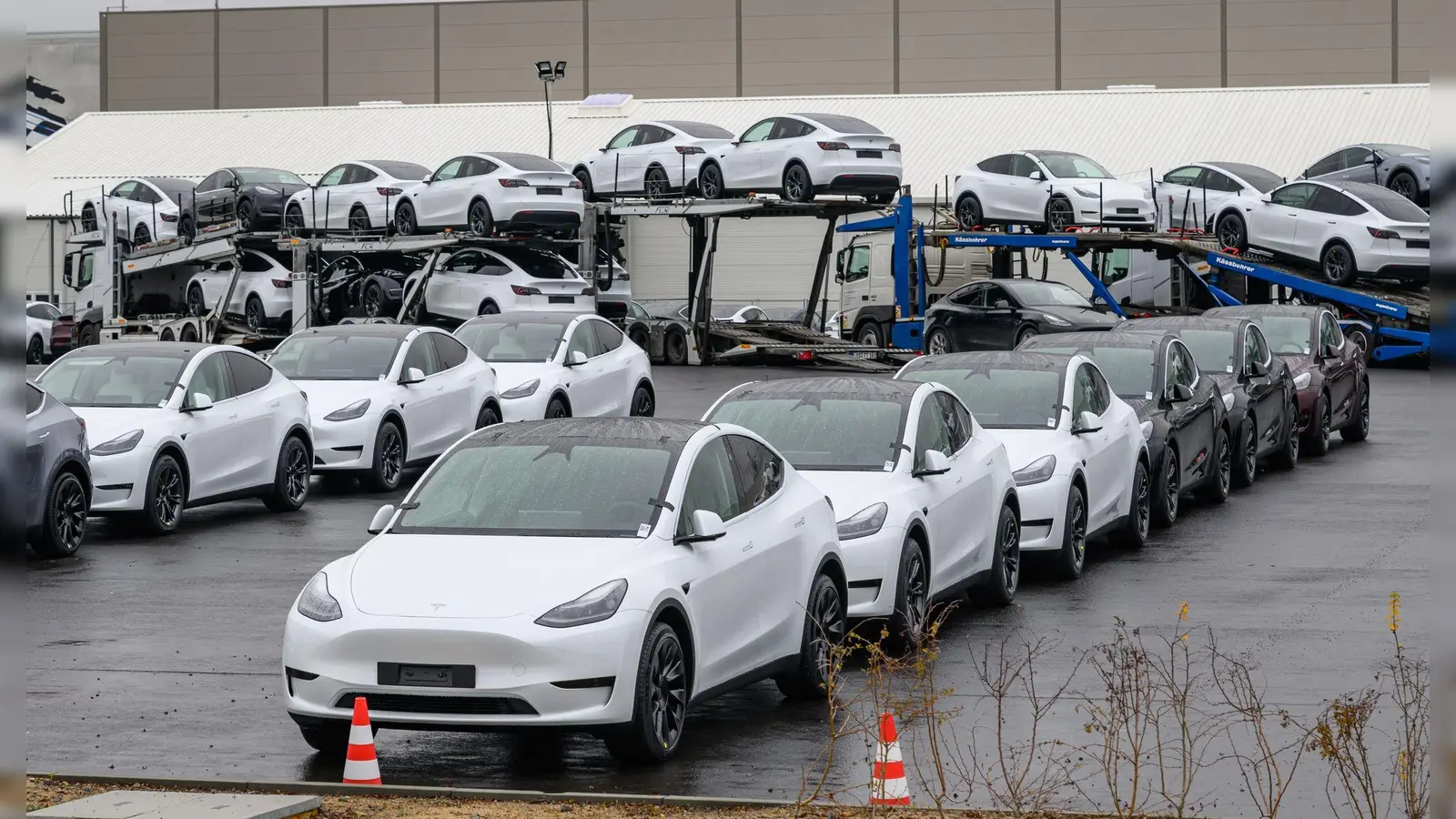 Das neue Model Y wird auch am europaweit einzigen Werk in Grünheide bei Berlin gebaut. (Archivbild) (Foto: Patrick Pleul/dpa)