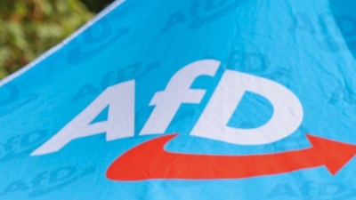 Die AfD liegt in den Umfragen vor der Wahl in Sachsen-Anhalt klar vorn. (Archivbild) (Foto: Peter Gercke/dpa)