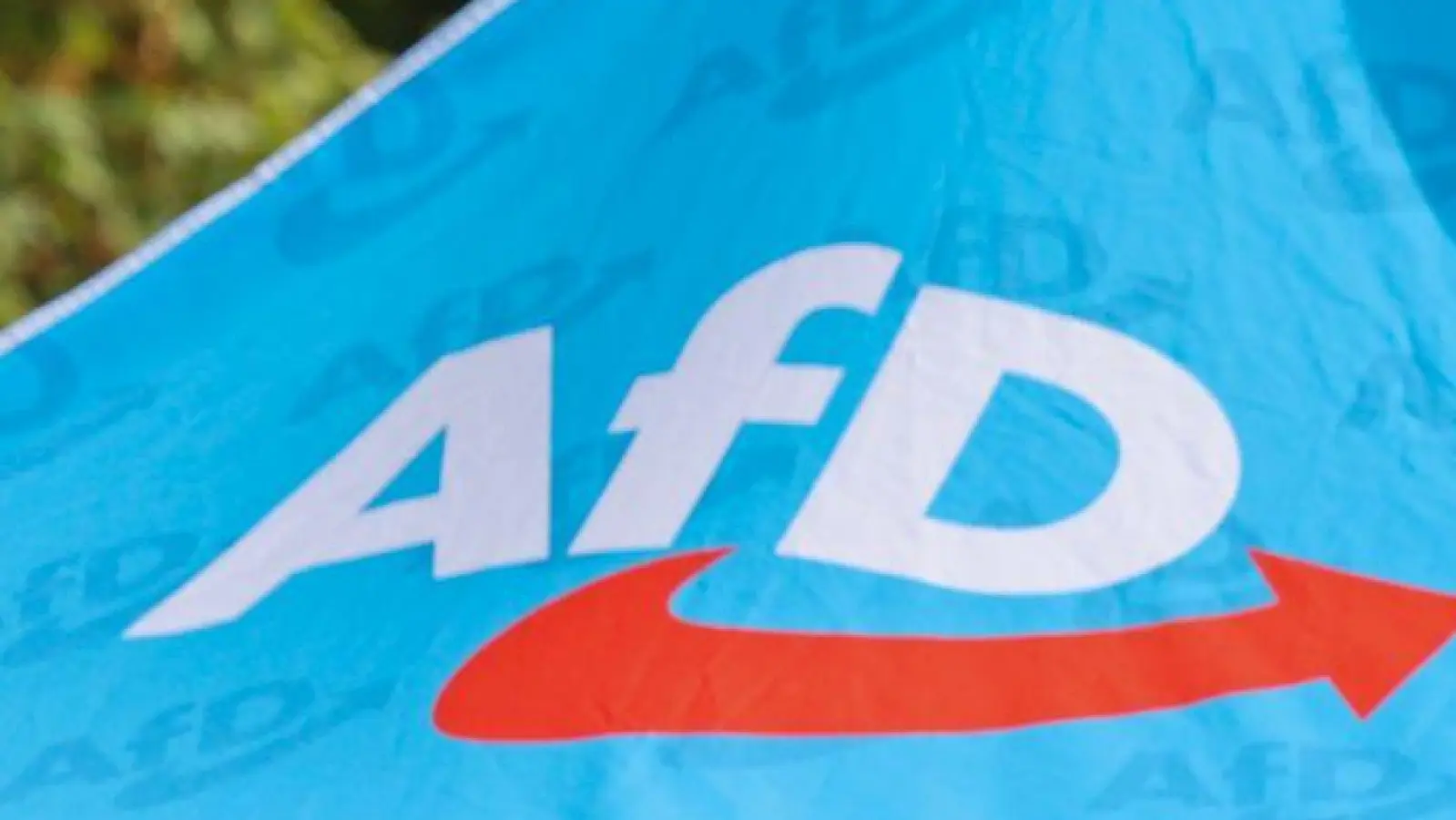 Die AfD liegt in den Umfragen vor der Wahl in Sachsen-Anhalt klar vorn. (Archivbild) (Foto: Peter Gercke/dpa)
