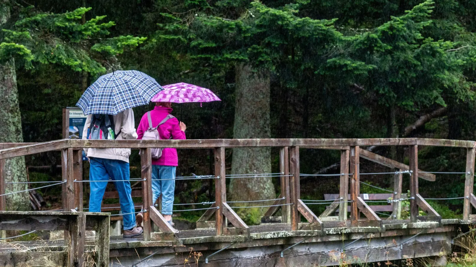 Bis mindestens Montag rechnet der Deutsche Wetterdienst mit Regen in Teilen Bayerns (Archivbild). (Foto: Armin Weigel/dpa)