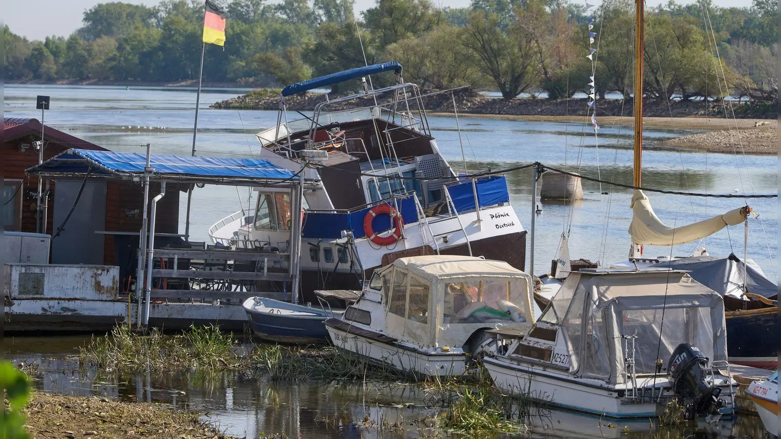 Zu wenig Wasser: Bei Oestrich-Winkel im hessischen Rheingau liegen Sportboote auf dem Grund des Rheins.  (Foto: Thomas Frey/dpa)